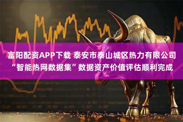富阳配资APP下载 泰安市泰山城区热力有限公司“智能热网数据集”数据资产价值评估顺利完成