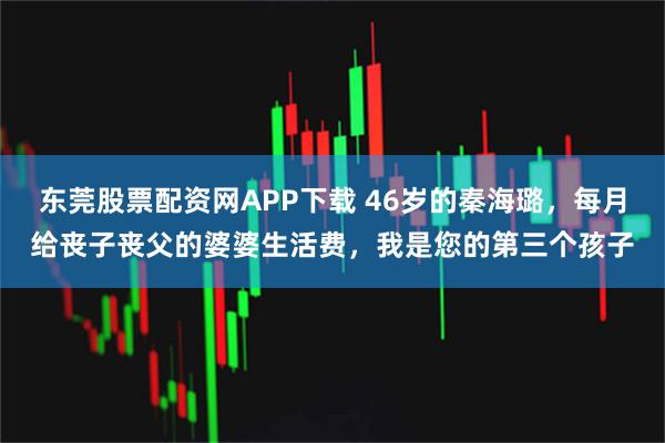 东莞股票配资网APP下载 46岁的秦海璐，每月给丧子丧父的婆婆生活费，我是您的第三个孩子