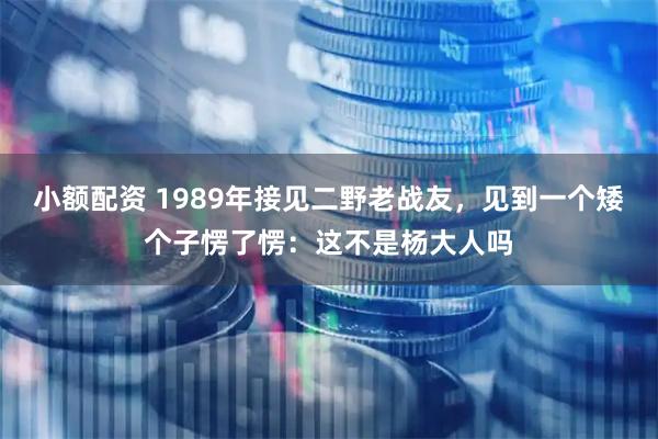 小额配资 1989年接见二野老战友，见到一个矮个子愣了愣：这不是杨大人吗